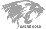 Placeholder Company logo